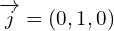 \[\overrightarrow{j}=(0,1,0)\]