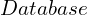 Database