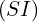 (SI)