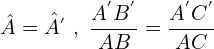 \[\hat{A}=\hat{A^{'}}\,\,,\,\,\frac{A^{'}B^{'}}{AB}=\frac{A^{'}C^{'}}{AC}\]