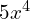5x^{4}
