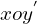 xoy^{'}