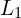L_{1}